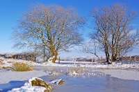Frozen Tarn on Mynydd Illtyd Common